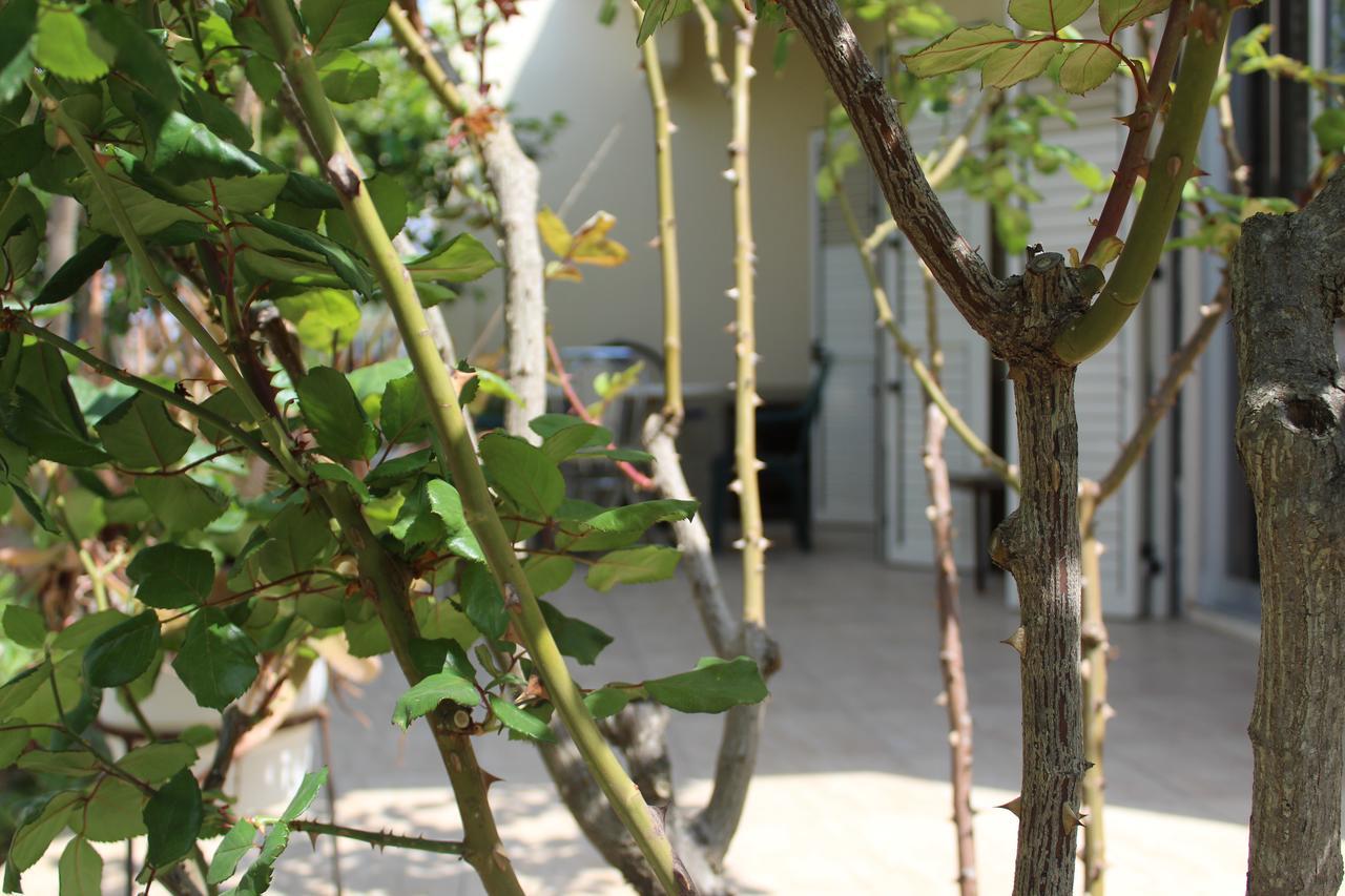 Costas Hostel Action Tseri ภายนอก รูปภาพ