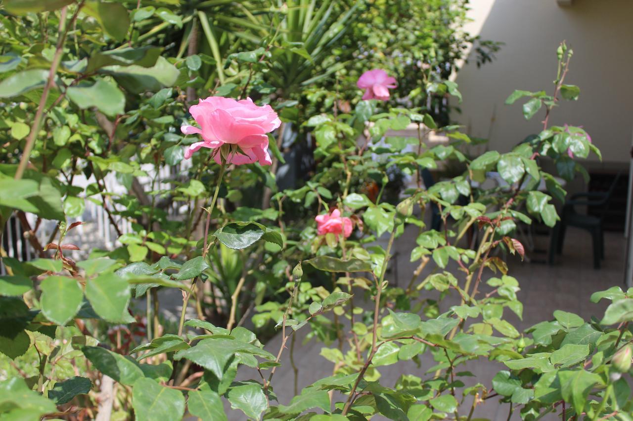 Costas Hostel Action Tseri ภายนอก รูปภาพ