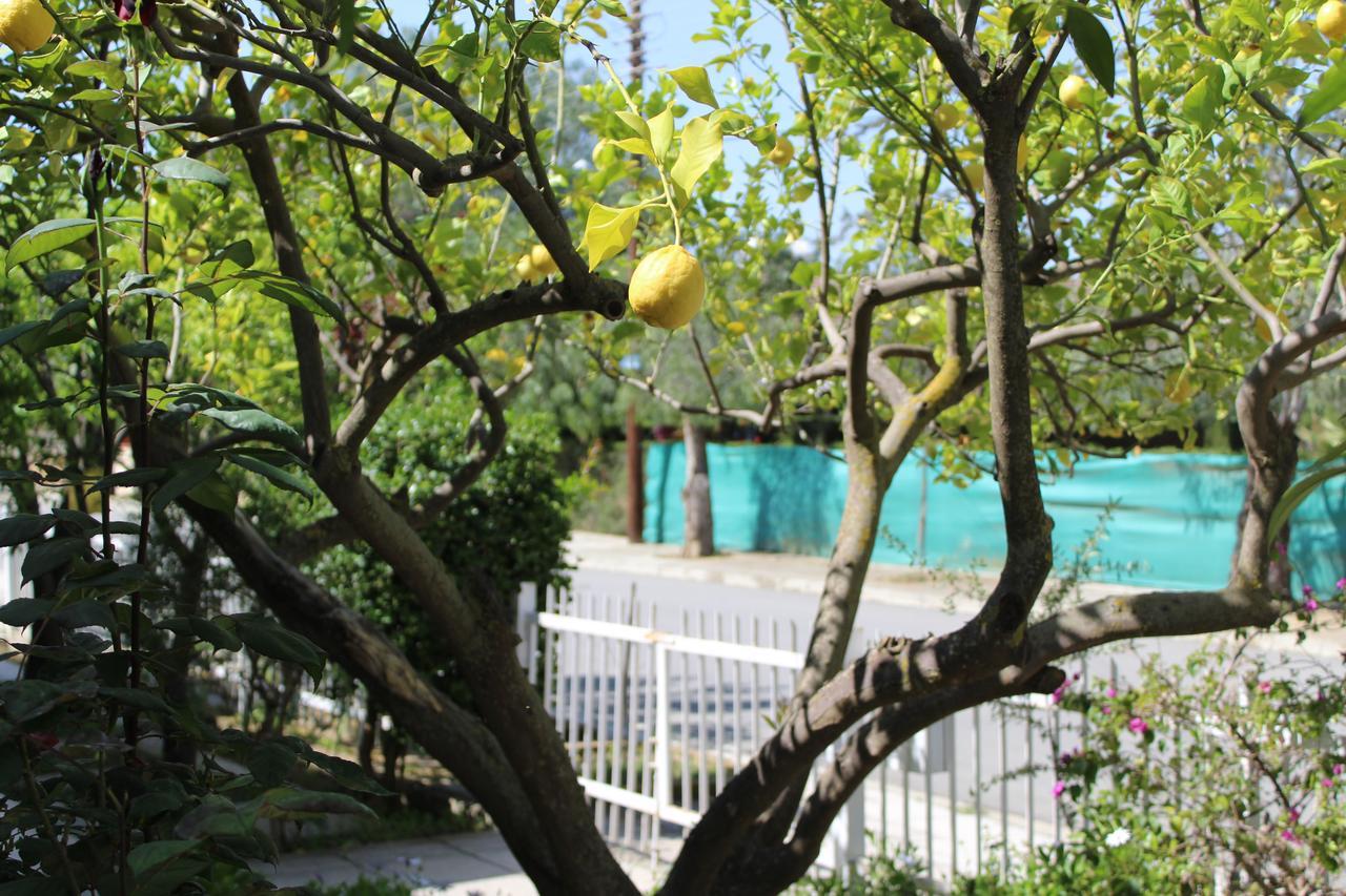 Costas Hostel Action Tseri ภายนอก รูปภาพ